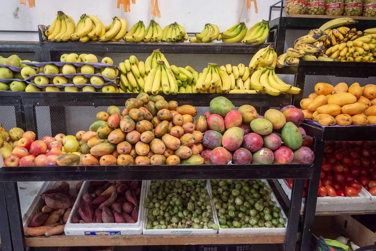 Bananas, apples, mangos (including ataúlfo (champagne) mangos), tomatillos (called tomates verdes in Mexico), tomatoes.