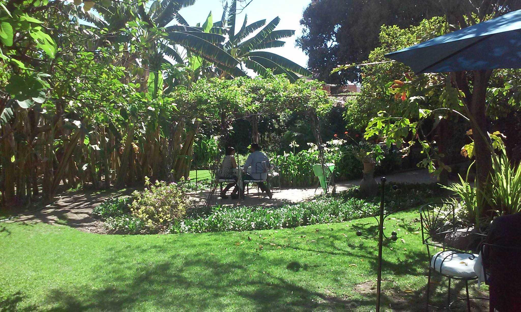 The Peacock Garden