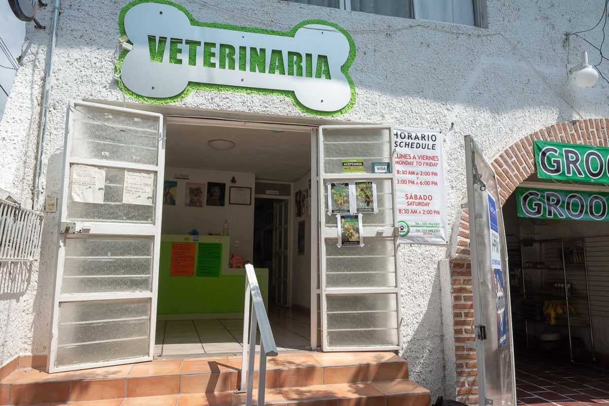 Maskota’s Lake Veterinaria